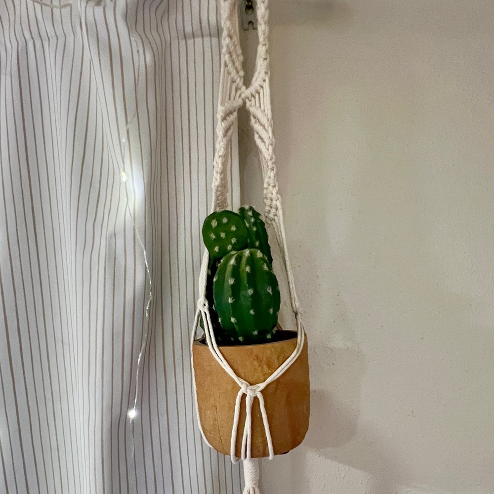 Macrame Plant Hanger with Cactus